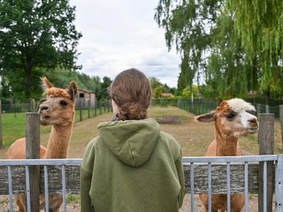 Uitstap Kinder- en Jeugdpsychiatrie Tilia naar alpaca's leefgroepbegeleidster July