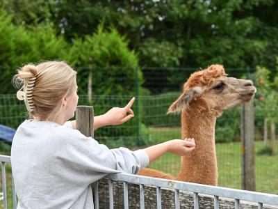 Uitstap Kinder- en Jeugdpsychiatrie Tilia naar alpaca's leefgroepbegeleidster July